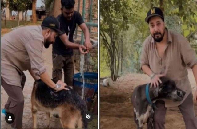 आवारा कुत्तों को लेकर पिघला मीका सिंह का दिल, उनके नाम करेंगे 10 एकड़ जमीन