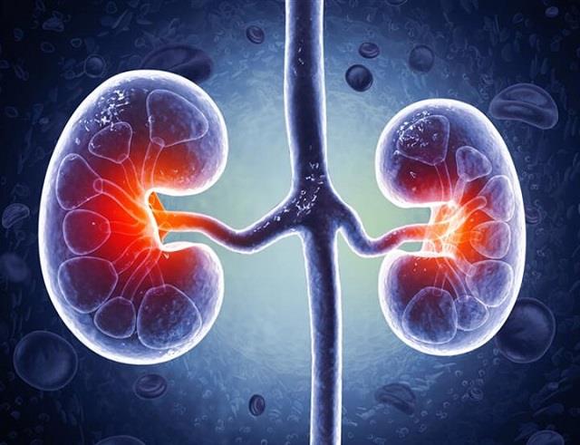 Kidney फेल होने से पहले कैसे पहचानें कि किडनी खराब हो रही है?