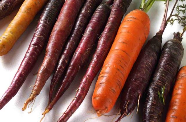 क्या लाल से ज्यादा फायदेमंद है काली गाजर ? 90 प्रतिशत लोगों को नहीं है इसकी जानकारी