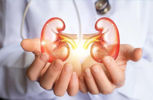 Kidney Patients Alert! किडनी खराब है तो न खाएं ये फल