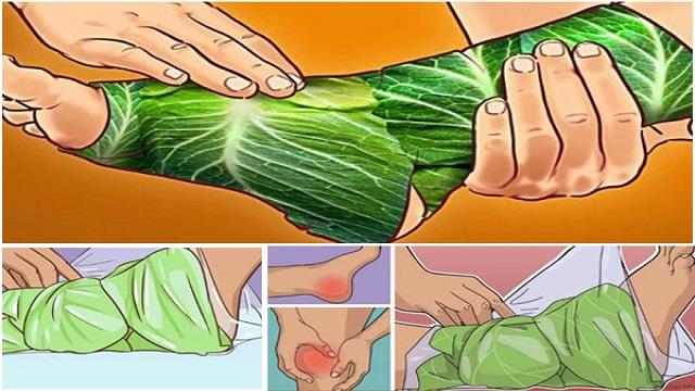 पत्तागोभी के पत्ते पैरों पर बांधने से जोड़ों के दर्द में मिलती है राहत!