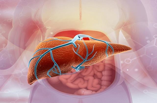 लिवर कैंसर में कहां होता है दर्द? जानें लिवर कैंसर की पहचान और शुरुआती लक्षण