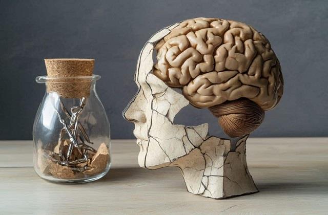 अब दिमाग को बूढ़ा नहीं होने देगी ये एक चीज,  वैज्ञानिकों ने कर दिखाया कमाल