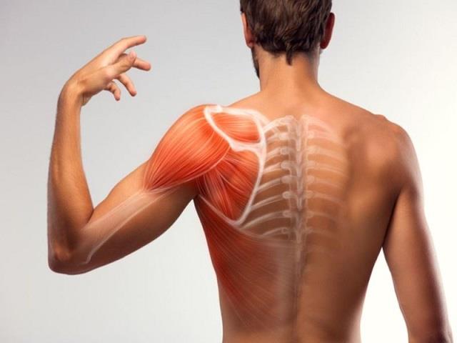 ना हड्डियों की बीमारी ना विटामिन की कमी फिर भी मसल पेन क्यों रहता है?