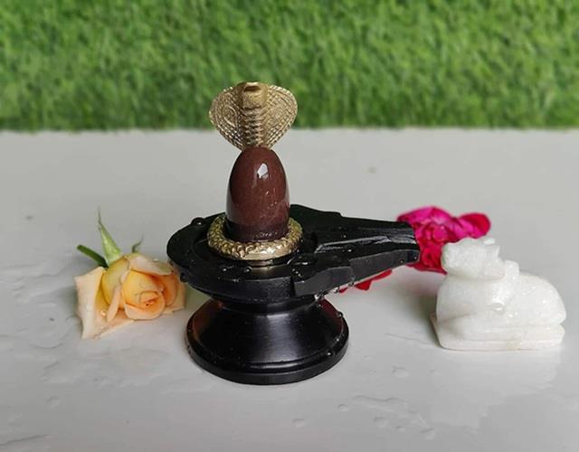 अगर रोजाना नहीं कर सकते ये काम तो घर पर ना रखें शिवलिंग, पहले जान लीजिए नियम