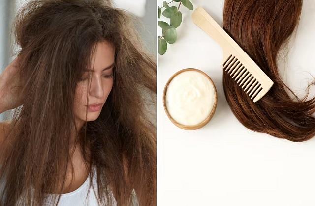 घर पर बनाएं नेचुरल कंडीशनर! एलोवेरा के इस आसान नुस्खे से रूखे बालों में आ जाएगी जान
