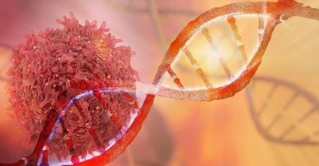 वैज्ञानिकों ने बनाया खास DNA सर्किट,अब माइक्रोब्स करेंगे कैंसर पर हमला
