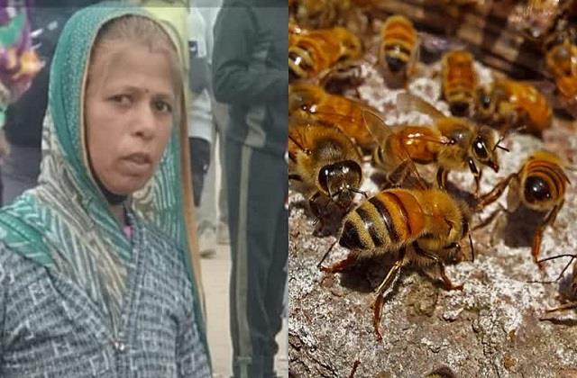 आंगनवाड़ी की रसोइया ने जान पर खेल कर मधुमक्खी के हमले से 20 बच्चों की जान बचाई