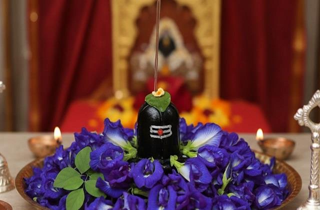 महाशिवरात्रि पर करें ये खास उपाय, अपराजिता फूल से नौकरी-पैसा-शादी की परेशानी होगी दूर