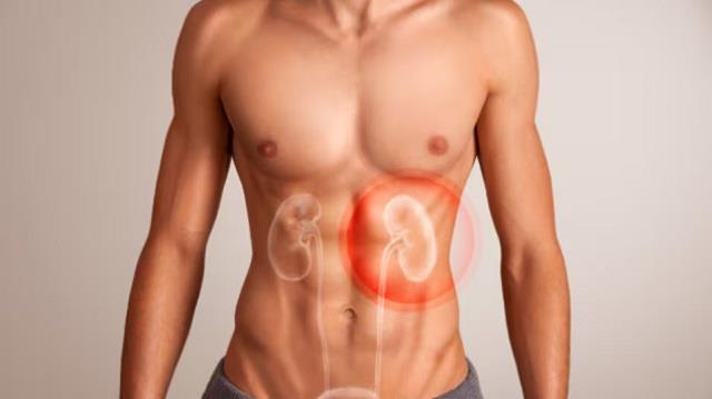 किडनी खराब होने पर दर्द कहां होता है? इन किन लक्षणों पर ध्यान दें