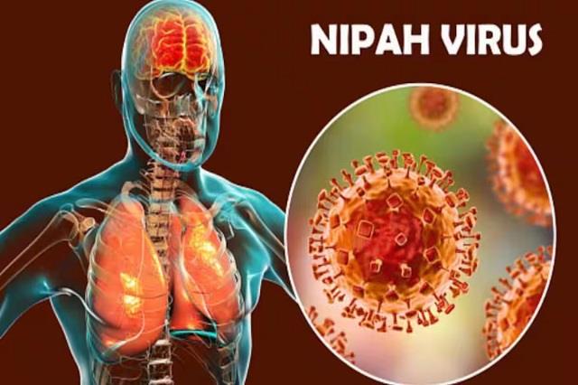 ना  वैक्सीन ना इलाज! पूरे एशिया में Nipah का Alert, खुद को इस तरह रखें सुरक्षित