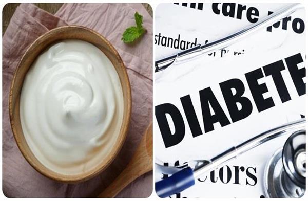 दवाओं से भी कंट्रोल में रहता डायबिटीज? तो रोज खाना शुरू कर दें Toned Milk Curd