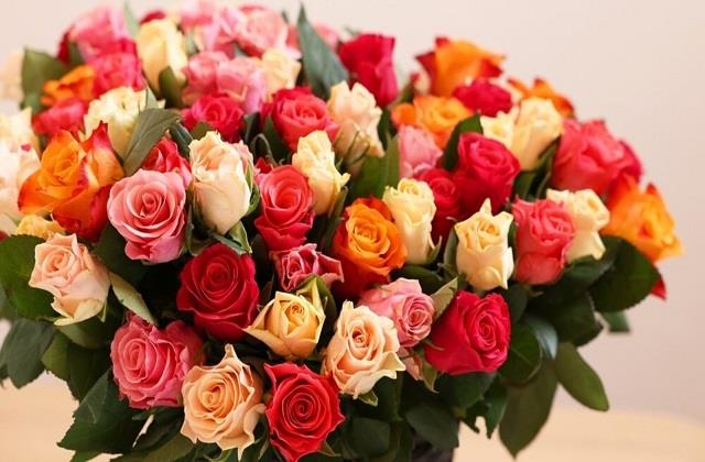लाल, पिंक और सफेद, क्या आप जानते हैं गुलाब के हर रंग का मतलब?