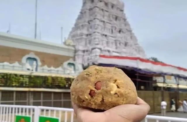भगवान के साथ धोखा! तिरुपति मंदिर में चढ़ाया गया बाथरूम क्लीनर वाले घी से बना लड्डू