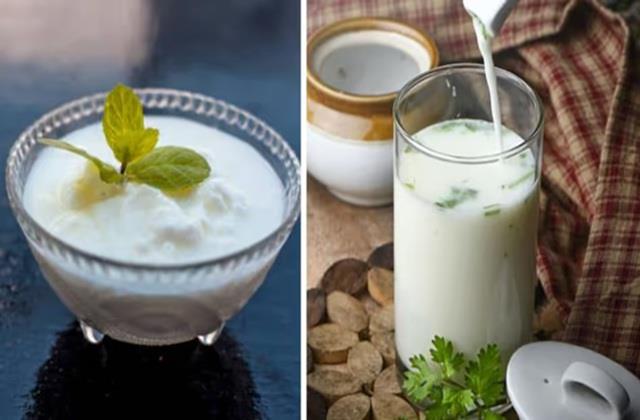 पेट के लिए दही है नंबर वन या छाछ? यहां अपनी कंफ्यूजन करें दूर