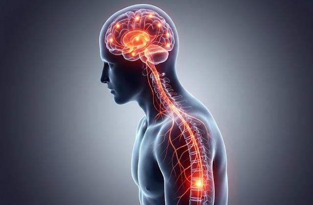 पीठ दर्द का आपके ब्रेन से है गहरा कनेक्शन, दवाओं से ज्यादा दिमाग पर दें ध्यान