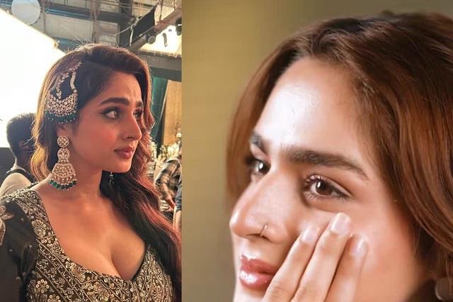 ‘मोटी’ कहकर गाने से हटाया गया आयशा खान ने कहा...रोज मिलती हैं रेप की धमकियां