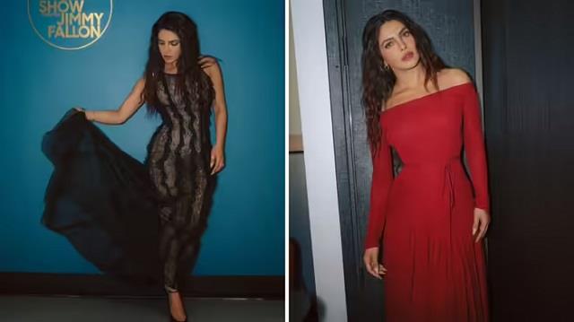 7 तस्वीरों में प्रियंका ने दिखाया क्या होता है असली स्टाइल, हर लुक में दिखा कॉन्फिडेंस