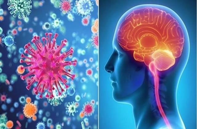 कोरोना, बर्ड फ्लू के बाद अब इस बुखार ने  मचाया कहर, यह सीधा दिमाग पर करता है अटैक