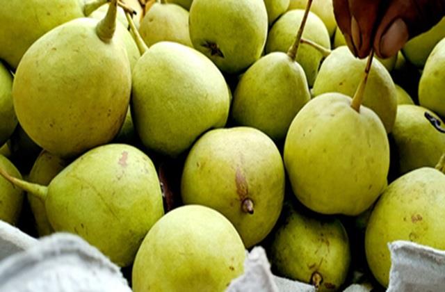 डायबिटीज से बचने के लिए रोज खाएं ये एक फल, पेट के साथ हार्ट भी रहेगा हेल्दी