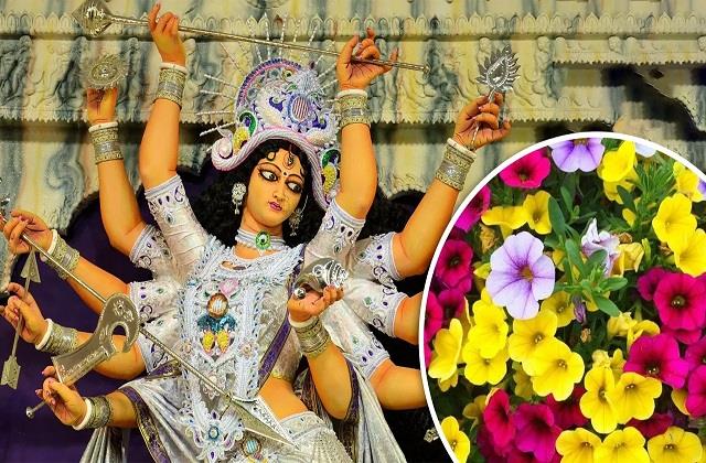 नवरात्रि के 9 दिनों में देवी मां को चढ़ाएं ये खास नौ फूल, मिलेगी विशेष कृपा