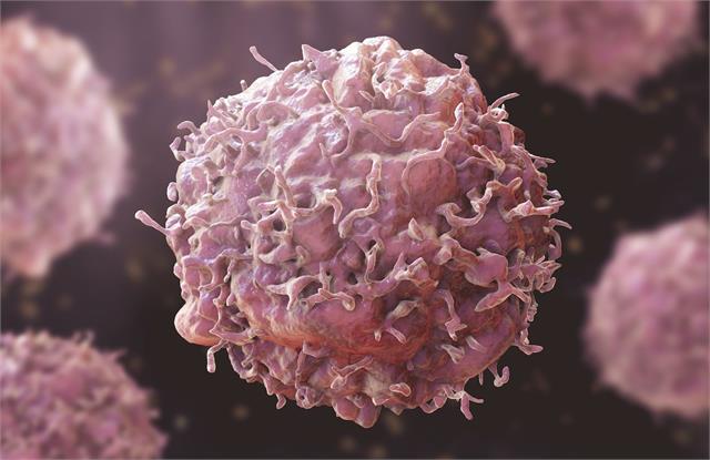 किसी भी तरह का Cancer नहीं होने नहीं देती ये 3 चीजें, आपको इसे खाना कैसे ये पढ़ें