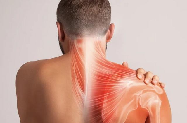 गर्दन के साथ कंधे में होता है जिद्दी दर्द तो इसके कारण पढ़ें, बिना दवाई के मिलेगा आराम