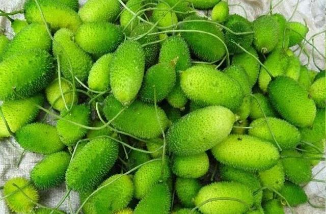 डाइट में शामिल करें दुनिया की सबसे ताकतवर सब्जी, ब्लड शुगर समेत ये बीमारियां होगी कंट्रोल!