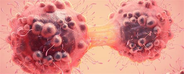 हट्टे-कट्टे लोगों को भी हो रहा कैंसर! ये 7 फूड्स कम कर सकती हैं कैंसर का रिस्क