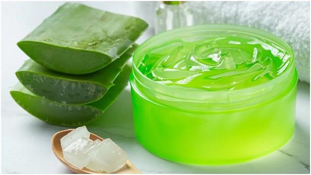 किन लोगों के लिए खतरनाक हो सकता है एलोवेरा जेल? जानें इस्तेमाल से पहले जरूरी बातें