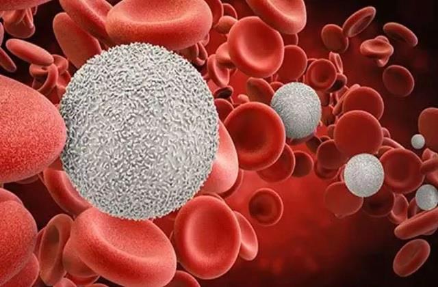 अच्छी डाइट के बावजूद शरीर में क्यों घट रहा है हीमोग्लोबिन? जानें असली कारण और बचाव