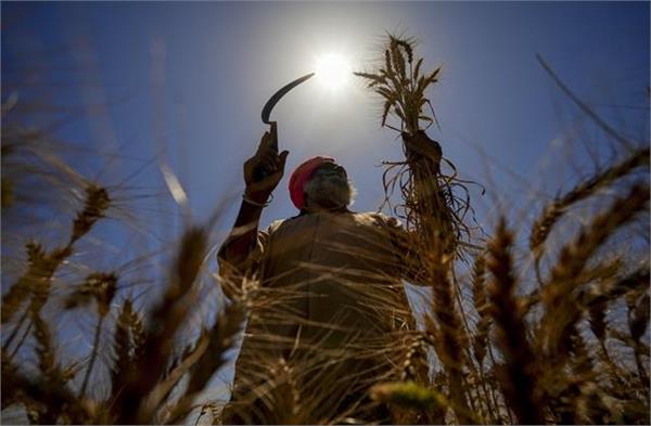 आसमान से बरस रही है 'आग', पंजाब से लेकर राजस्थान तक लू का अलर्ट जारी