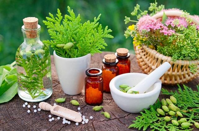 World Homeopathy Day: हर बीमारी में नहीं कारगर! जानें होम्योपैथी कब लेनी चाहिए और कब नहीं