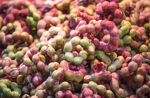 पेड़ पर उगने वाली ‘जलेबी’! सिर्फ 2 महीने बाजार में दिखती है, सेहत के लिए वरदान