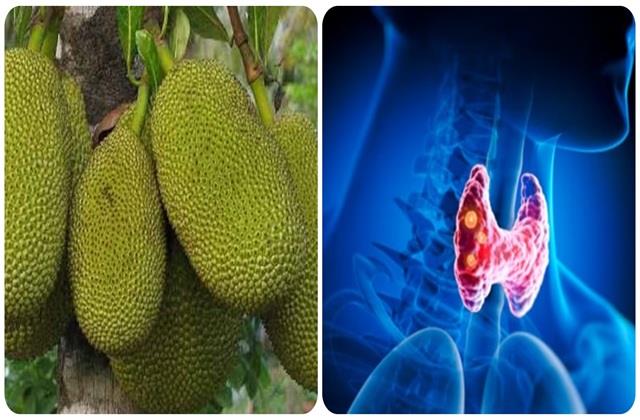 अजीब सा दिखने वाला ये फल थायराइड को जड़ से कर सकता है खत्म, जरूर खाएं इसे