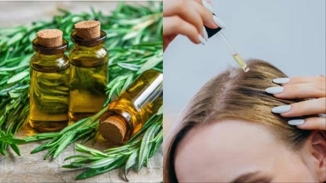 क्या Rosemary Oil बढ़ाता है बालों की ग्रोथ?
