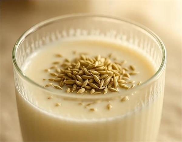 सिर्फ पानी ही नहीं सौंफ का दूध भी देता है कमाल के फायदे, आज ही डाल लो इसकी आदत