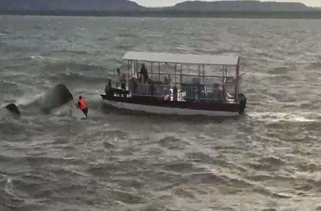 मेरी आंखों के सामने डूब गया मेरा परिवार.... चंद सेकंड में नदी में समा गया 30 लोगों से भरा क्रूज