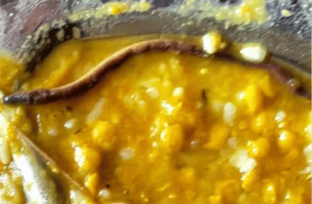बिहार में  Mid Day Meal में मिला मरा हुआ सांप,  250 बच्चे पड़े बीमार