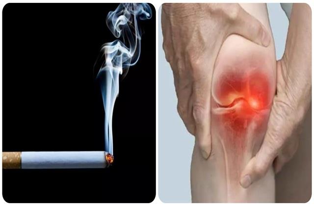 दिल और फेफड़ों के साथ जोड़ों की भी दुश्मन है Smoking , यह  चलना-फिरना कर देती है मुश्किल