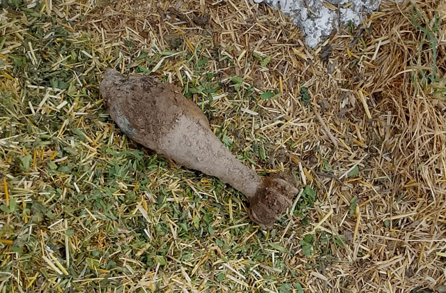 PunjabKesari, Mortar Shell and Grenade recovered from Rajouri