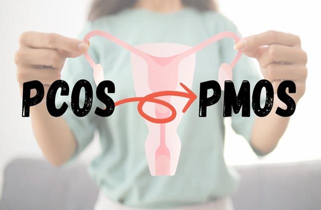 महिलाओं में होने वाली आम बीमारी का PCOS बदल गया नाम,  इसका क्या होगा असर ?
