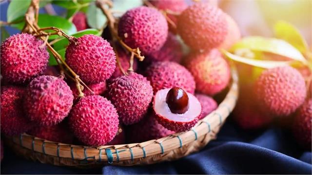 गर्मियों में लीची से बनाएं ये 5 लाजवाब चीजें, स्वाद के साथ ठंडक भी मिलेगी