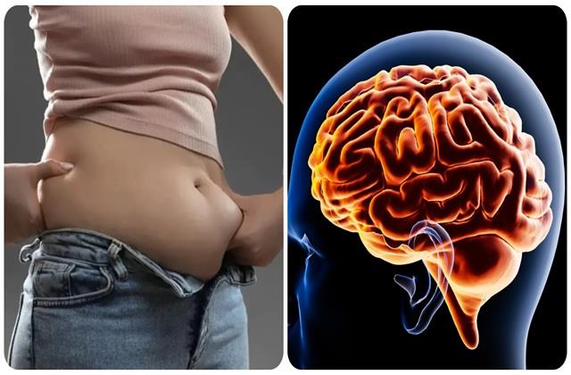 कम कर लो पेट की चर्बी नहीं तो धीरे-धीरे सिकुड़ने लगेगा दिमाग, यहां पढ़िए नई स्टडी