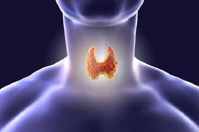 Thyroid से हैं परेशान? अपनी Diet में करें ये बदलाव, मिलेगा फायदा