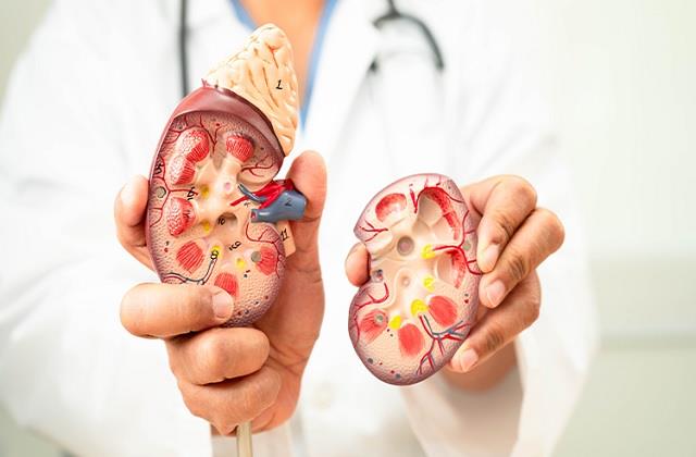 पेशाब में खून आना हो सकता है Kidney Cancer का शुरुआती संकेत, कभी न करें नजरअंदाज