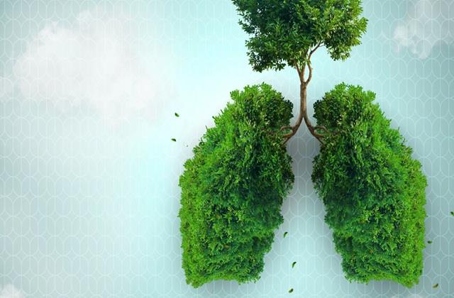 प्रदूषण है  फेफड़ों का सबसे बड़ा दुश्मन, पहले पहचानो Lungs Problems के लक्षण फिर करो इलाज