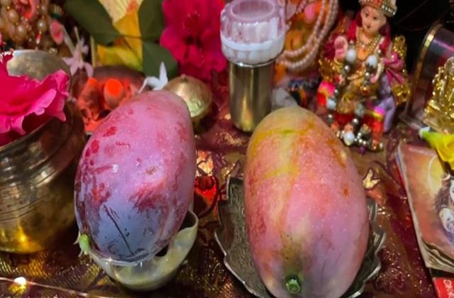 राम मंदिर में भगवान राम को चढ़ाया गया दुनिया का सबसे महंगा आम, हजारों नहीं लाखों में है इसकी कीमत
