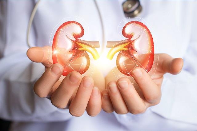 Kidney को धीरे-धीरे खोखला कर देते हैं शुरुआत के ये लक्षण