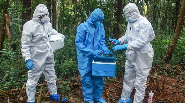 केरल में Nipah Virus का नया खतरा, संपर्क में आए 77 लोग, जानें यह कैसे फैलता है